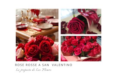 Rose rosse a San Valentino, le nostre proposte