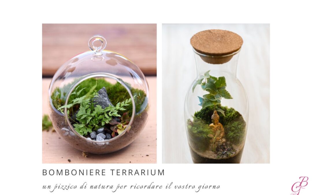 bomboniere terrarium