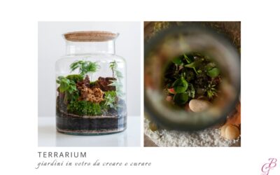 Terrarium giardini in vetro da creare e curare