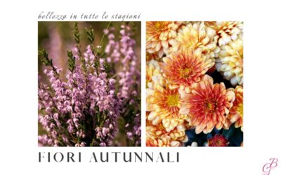 Fiori Autunnali: bellezza in tutte le stagioni